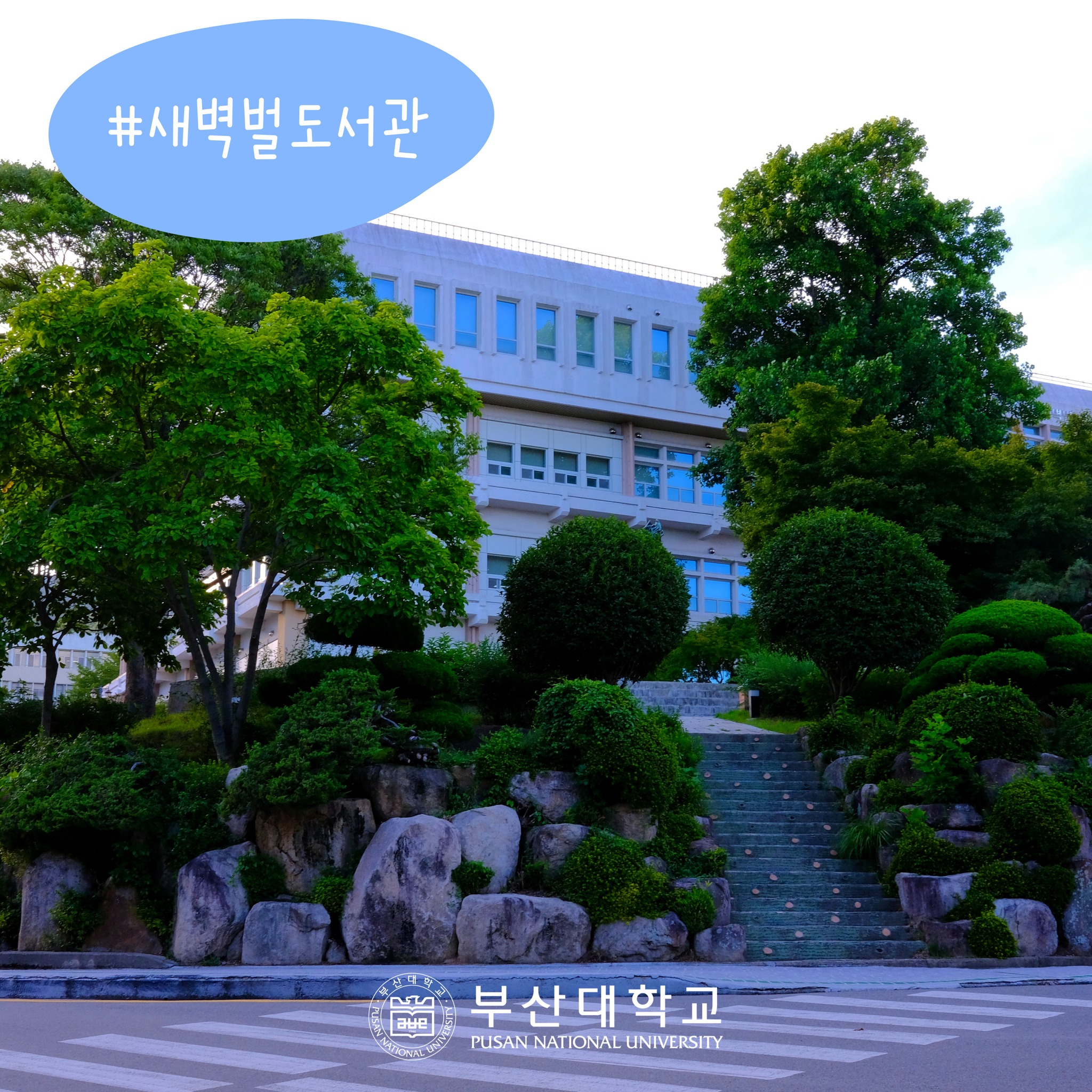 '[PNU_PHOTO] ' 첨부파일 이미지, 상세내용은 아래내용 참고