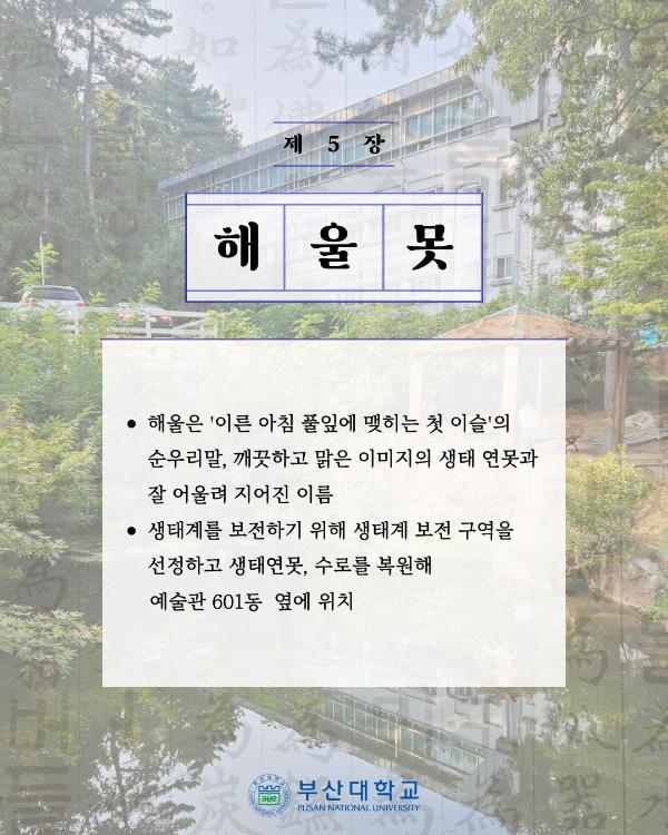 '[PNU_대학생활] 쏙쏙 부산대학교 속 순우리말 찾기'