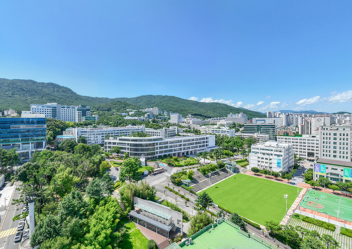 부산대-부산교대 통합 교육부 최종 승인