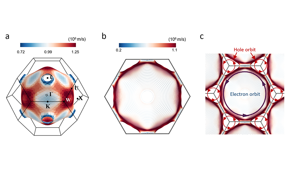 'Hole-Carrier-Dominant Transport in 2D Single-Crystal Copper'