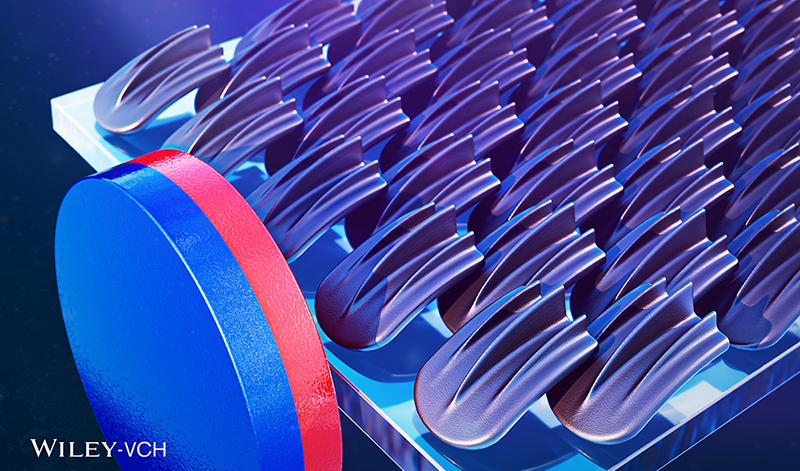 Light-Fueled In-Operando Shape Reconﬁguration, Fixation,and Recovery of Magnetically Actuated MicrotexturedCovalent Adaptable Networks