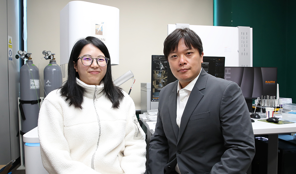 'OCT-based quantitative analysis of craquelure morphology in an oil painting'