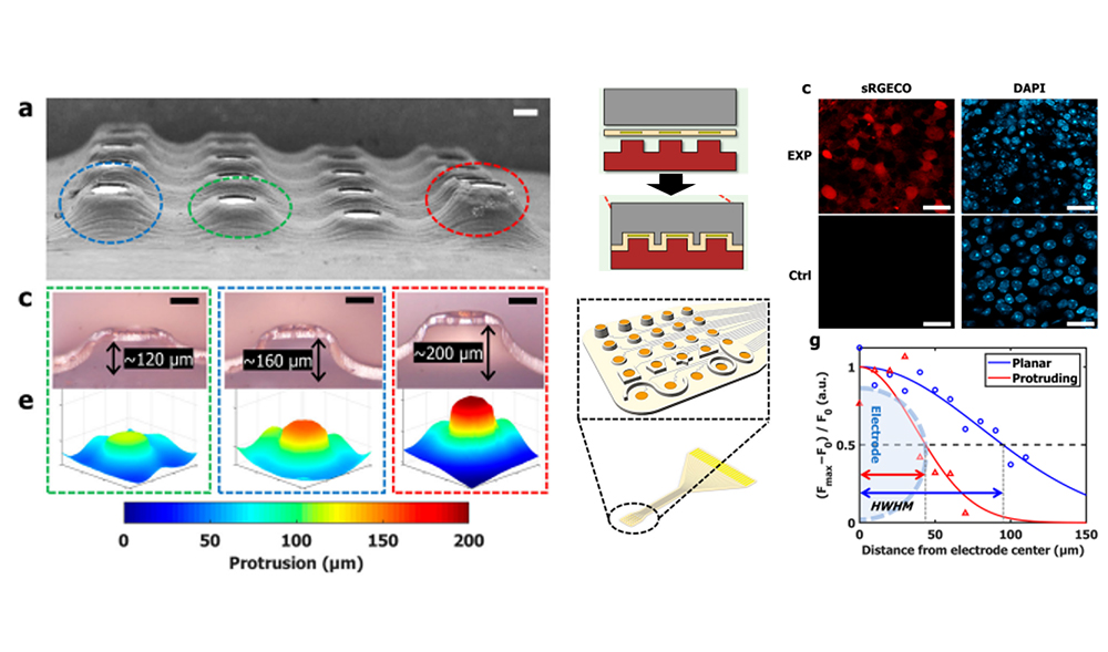 Microelectrothermoforming (μETF): one-step versatile 3D shaping of flexible microelectronics for enhanced neural interfaces
