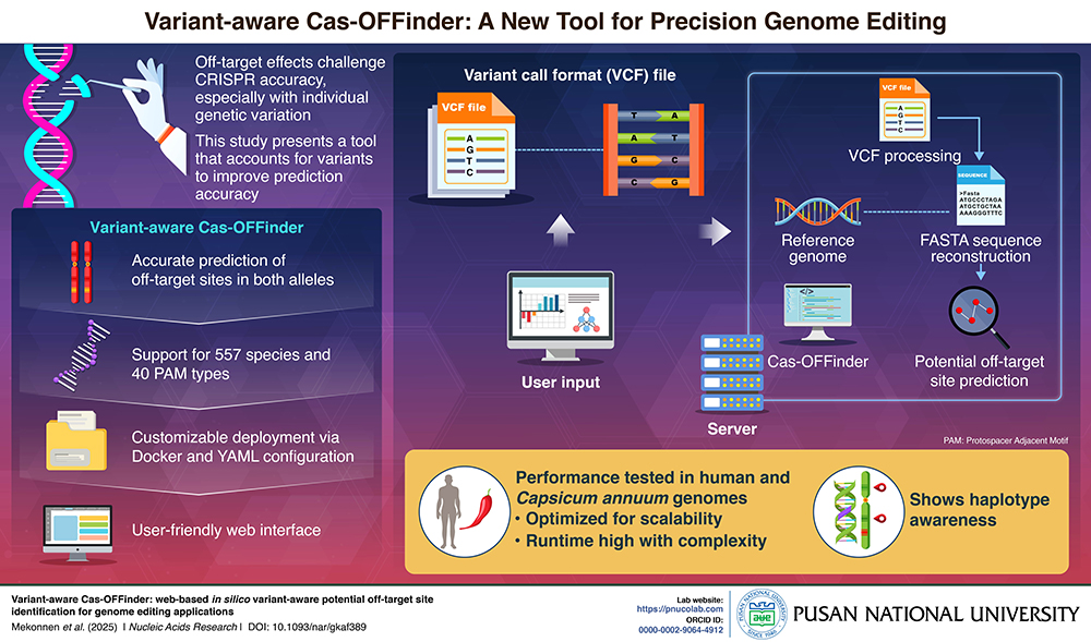 'Variant-aware Cas-OFFinder: web-based in silico variant-aware potential off-target site identification for genome editing applications'