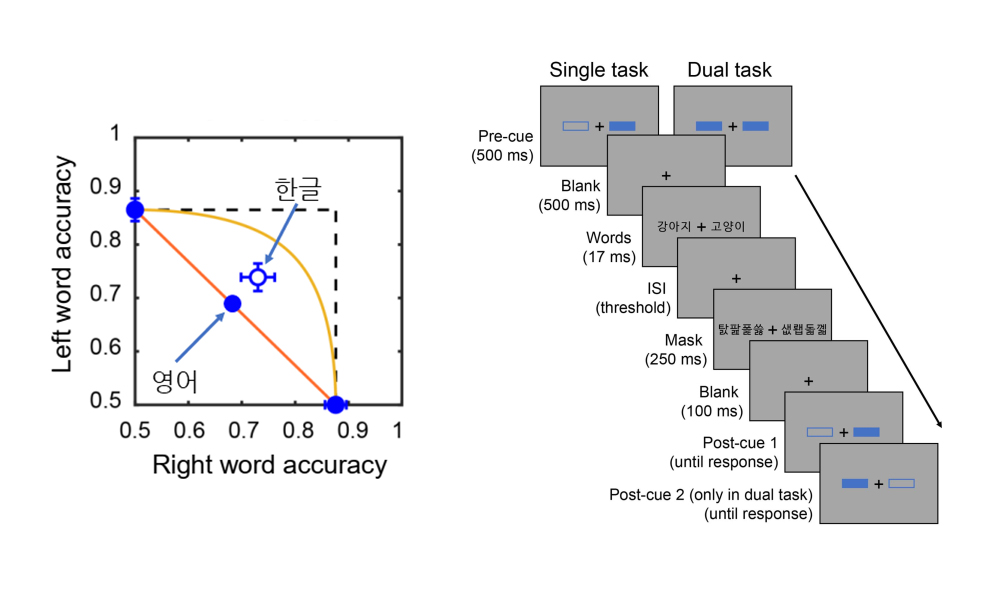Korean Hangul Is More Robust to a Serial Bottleneck: Co-Occurring and Semantically Related Korean Words Can Be Processed in Parallel