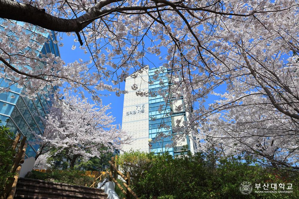 'Busan Campus'