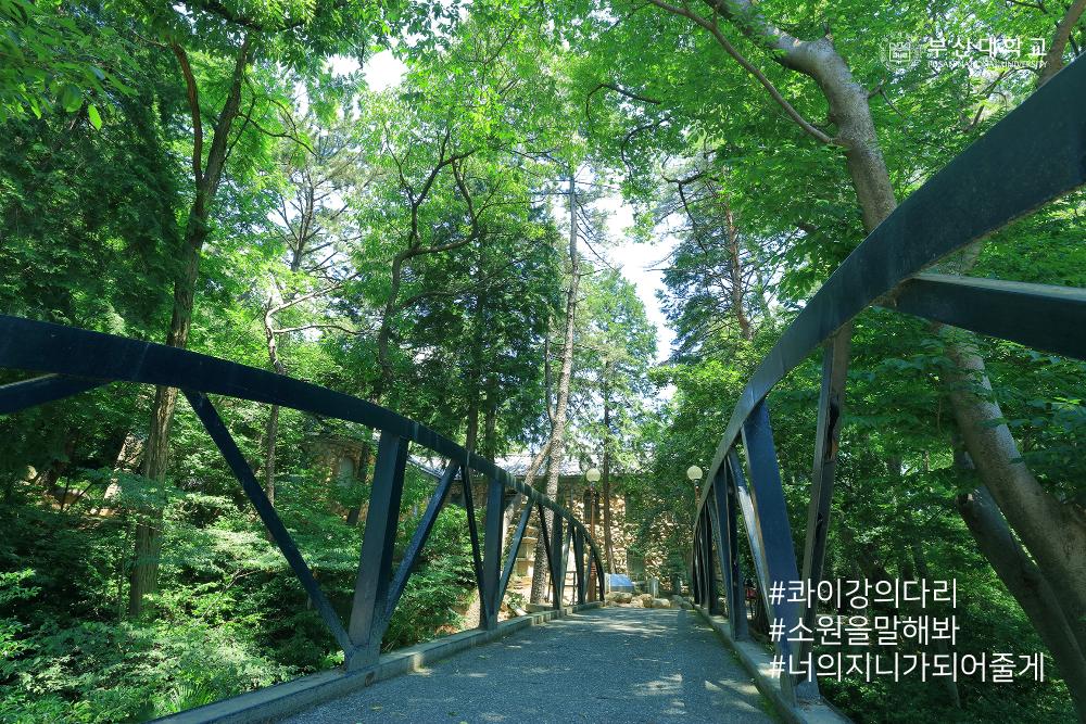 'Busan Campus'