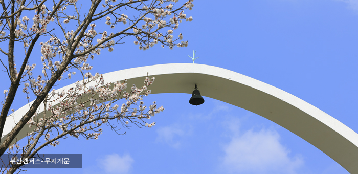 부산대소식지 953호 메인이미지 사진