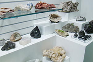 Geology Museum